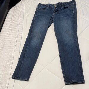 American Eagle Outfitters Dark Blue Skinny Jeans